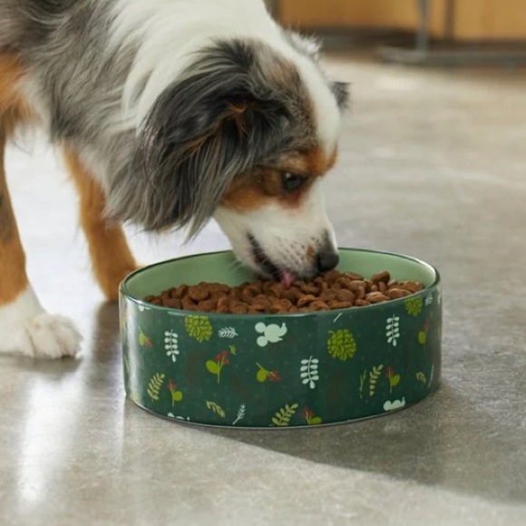 New Disney Mickey Mouse Holiday Ceramic dog cat bowl - Picture 4 of 7